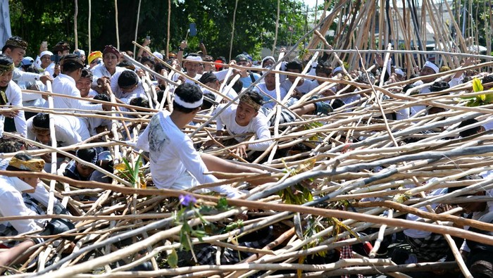 Warga memanjat tongkat yang disatukan oleh warga lainnya saat mengikuti tradisi Mekotek di kawasan Munggu, Badung, Bali, Sabtu (5/10/2024). Tradisi tersebut diikuti ribuan warga setempat saat Hari Raya Kuningan untuk menolak bala dan memohon keselamatan. ANTARA FOTO/Fikri Yusuf/rwa.