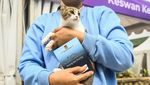 Jemput Bola Vaksin Rabies untuk Hewan Peliharaan Warga Tangerang
