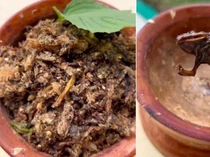 Video Proses Pembuatan Abon Kodok di India Ini Bikin Orang Mual