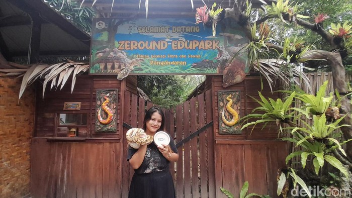 Vina, perempuan Pangandaran yang hobi rawat reptil.
