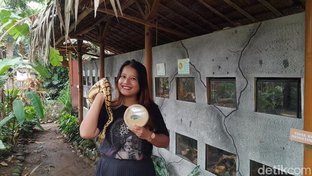 Vina, perempuan Pangandaran yang hobi rawat reptil.