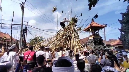 Warga adat Desa Munggu, Badung, Bali, semarak ikuti tradisi mekotek pada Hari Raya Kuningan, Sabtu (5/10/2024).