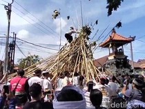 Kemeriahan Tradisi Mekotek Hari Raya Kuningan di Bali dan Asal-usulnya