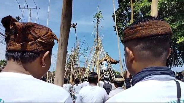 Warga adat Desa Munggu, Badung, Bali, semarak ikuti tradisi mekotek pada Hari Raya Kuningan, Sabtu (5/10/2024).
