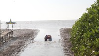 Di sore hari, pengunjung juga bisa menyaksikan aktivitas nelayan yang mencari kepiting dan udang di antara rimbunannya hutan bakau. Kegiatan sederhana ini menciptakan suasana damai yang menjadi daya tarik tersendiri bagi para pengunjung. (Foto: Rada Dhe Anggel/detikSulsel)