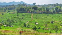 Sementara itu, warga setempat, Dedi (42) mengungkapkan awalnya terdapat beberapa orang yang bersepeda ke lokasi tersebut. Kemudian orang tersebut langsung membuat video dan menggunggah ke sosial media.