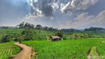Potret Wisata Persawahan Arjasari yang Cantiknya Mirip Ubud Bali