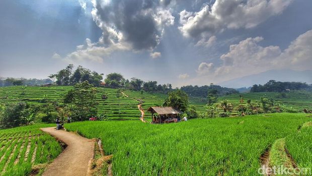 Kondisi ramainya wisata pemandangan sawah di Kecamatan Arjasari, Kabupaten Bandung.