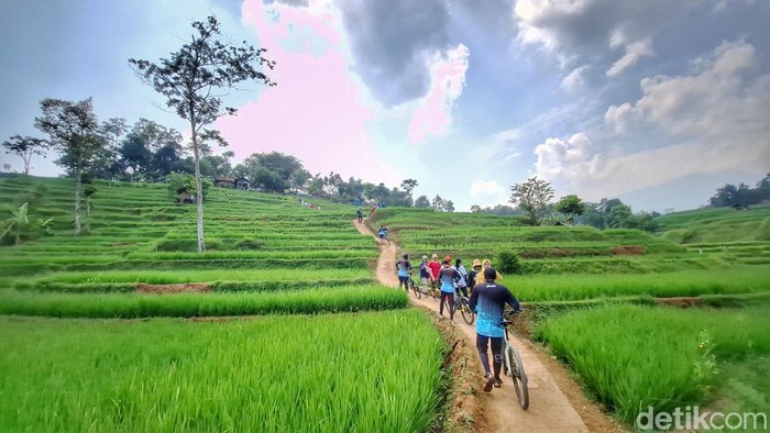 Kondisi ramainya wisata pemandangan sawah di Kecamatan Arjasari, Kabupaten Bandung.
