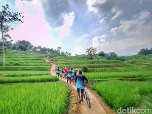 Wisata Persawahan Viral Mirip Ubud Bali Ini Ada di Bandung