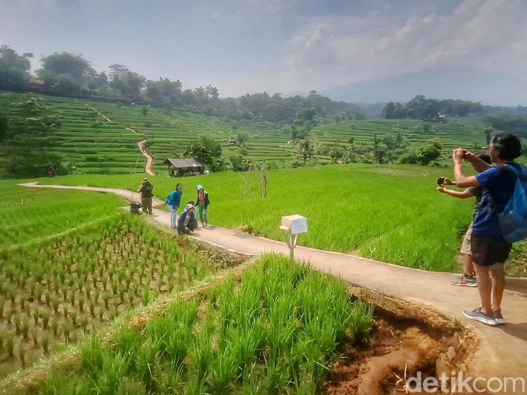 Potret Wisata Persawahan Arjasari yang Cantiknya Mirip Ubud Bali