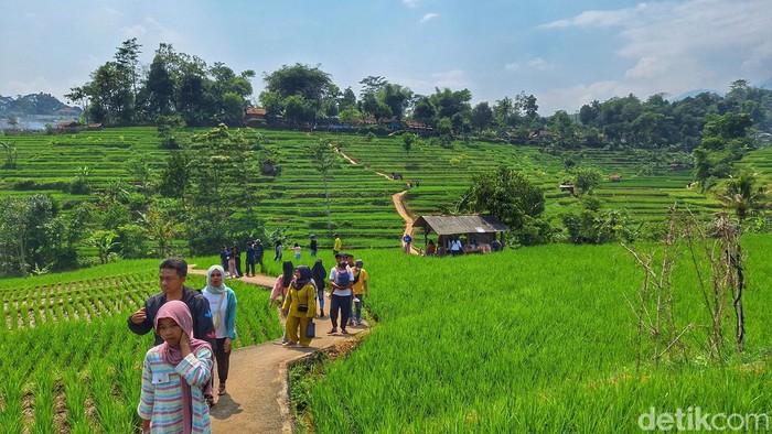 Kondisi ramainya wisata pemandangan sawah di Kecamatan Arjasari, Kabupaten Bandung