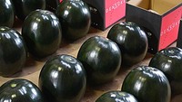 Buah semangka dibanderol harga per kilogram, biasanya berkisar Rp 10.000 per kilogram. Namun, di Jepang ada semangka  Densuke Watermelon. Semangka ini dibudidayakan secara eksklusif di Pulau Hokkaido, Jepang Utara dan dijual dengan harga Rp 3,8 juta per buah. Foto: iStock/site news