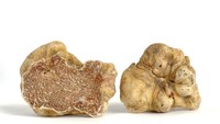 Truffle juga dikenal sebagai bahan makanan mewah yang kerap dijadikan topping. Di dunia ada jamur truffle paling mahal berwarna putih, harganya mencapai Rp 3,1 miliar. Foto: iStock/site news