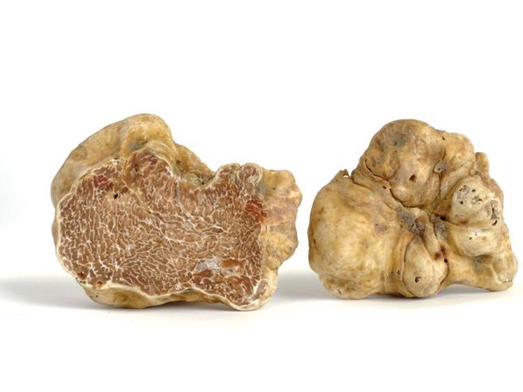 Mewah! Ini 10 Makanan Termahal di Dunia Berharga Fantastis