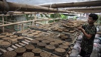 Kelompok Obor Desa Organik Sukajaya memanfaatkan kotoran sapi untuk dijadikan briket media tanam yang berfungsi seperti pupuk untuk menyuburkan lahan serta menutrisi tumbuhan. 