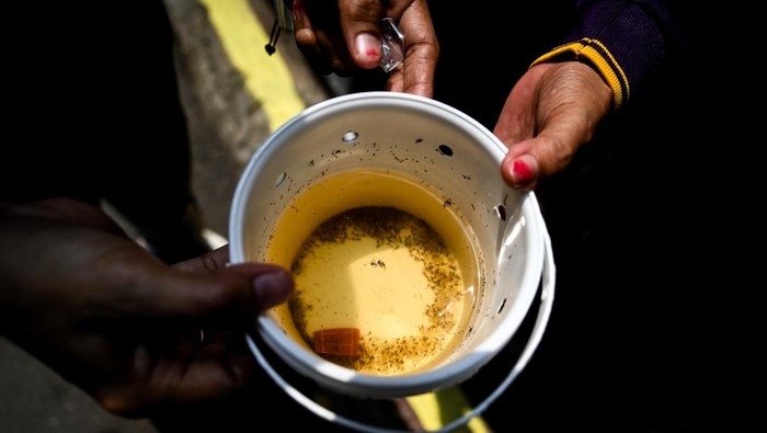 Petugas menunjukkan ember berisi jentik nyamuk aedes aegypti yang mengandung bakteri wolbachia di Kembangan, Jakarta, Jumat (4/10/2024). Pemprov DKI Jakarta melepas nyamuk aedes aegypti yang mengandung bakteri wolbachia guna menguatkan program pengendalian demam berdarah dengue (DBD) di wilayah tersebut. ANTARA FOTO/Rivan Awal Lingga/tom.