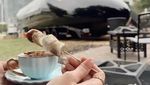 Unik! Pengalaman Minum Kopi di Sini Serasa di Atas Awan