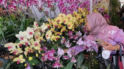 Warna-warni Anggrek Mejeng di Pameran Nasional Kota Batu