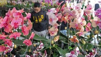 Pameran dan bursa anggrek tingkat nasional ini diikuti sejumlah peserta dari berbagai provinsi. 