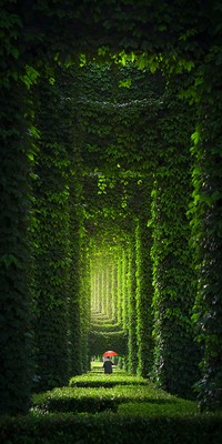 Epson International Pano Awards 2024