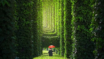 Nilai tertinggi vertikal image diraih Yuan Yakun, China. Lokasi ChengDu, ChinaFoto: Epson International Pano Awards