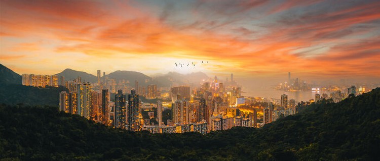 Epson International Pano Awards 2024