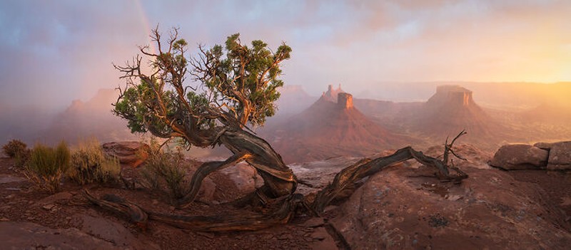Epson International Pano Awards 2024