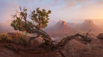 Raw Planet Award 2024 diraih Nickolas Warner dari Amerika Serikat. Lokasi: Moab, UtahFoto: Epson International Pano Awards