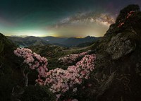 Epson International Pano Awards 2024