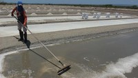 Seorang petani membersihkan tambak garamnya dari endapan lumpur di Desa Olio, Kabupaten Kupang, Nusa Tenggara Timur, Senin (7/10/2024).