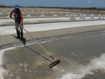 RI Mau Setop Impor Garam, KKP Bidik Lahan 500 Ha di NTT
