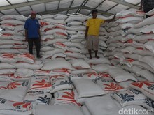 Bulog Mau Serap 4 Juta Ton Beras, Ini Syarat Agar Kualitasnya Tak Pecah
