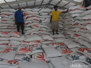 Aceh Impor Beras US$ 9,71 Juta dari Pakistan, Thailand dan Myanmar