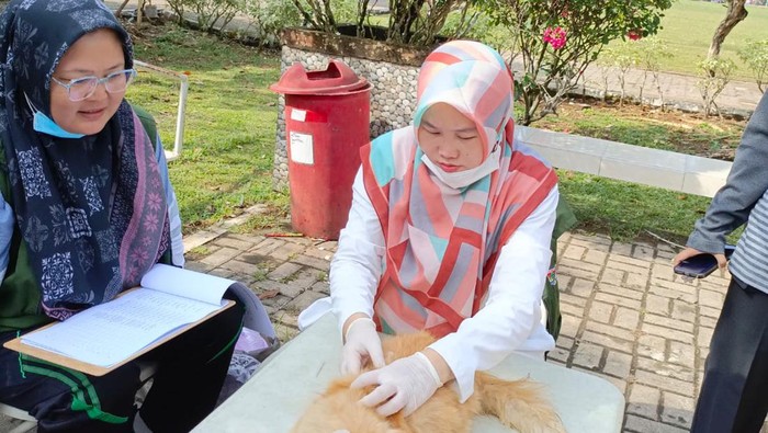 Proses vaksinasi massal di Kota Lubuklinggau