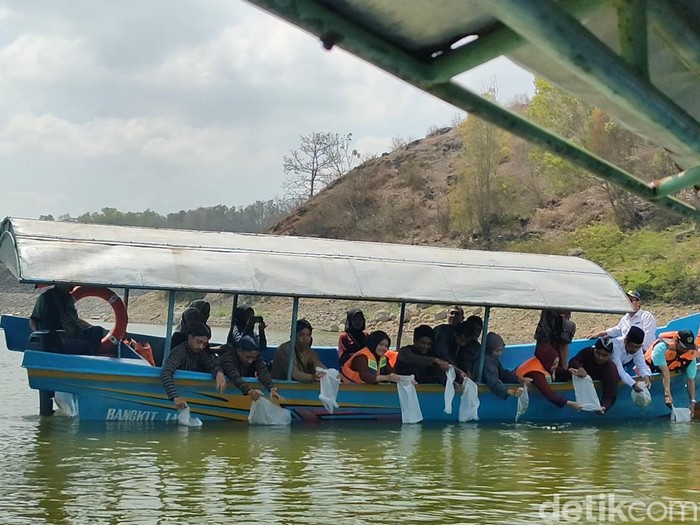 Tebar benih ikan oleh delapan calon pengantin di Waduk Sermo, Kapanewon Kokap, Kabupaten Kulon Progo, DIY, Senin (7/10/2024).