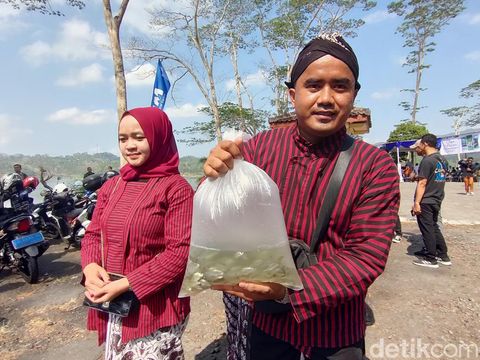 Tebar benih ikan oleh delapan calon pengantin di Waduk Sermo, Kapanewon Kokap, Kabupaten Kulon Progo, DIY, Senin (7/10/2024).
