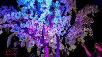 Anggota komunitas Yahudi menghiasi pohon sakura buatan dengan foto-foto sandera yang diambil oleh Hamas, selama peringatan serangan Hamas terhadap Israel, di stadion Israelita Maccabi di Santiago, Chili, Senin (7/10/2024). (AP Photo/Esteban Felix)  