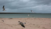 Pusat Badai Nasional atau National Hurricane Center (NHC) mengatakan angin topan akan mempengaruhi pantai utara Yucatan, Meksiko. (REUTERS/Lorenzo Hernandez)