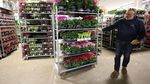 Berburu Bunga Segar di Pasar Kembang London