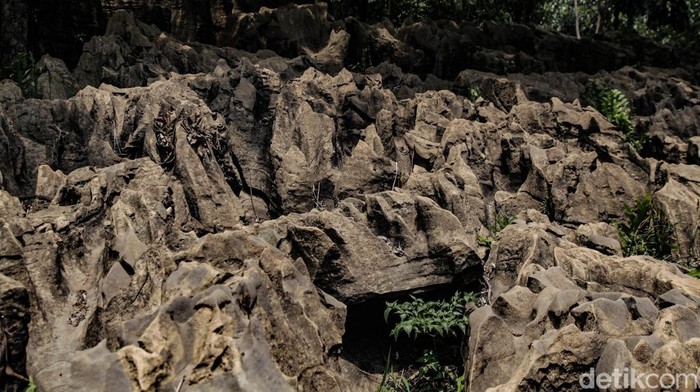 Gua Agung Garunggang menjadi daya tarik wisata di area Taman Wisata Alam (TWA) Gunung Pancar, Bogor. Eksotisme gua ini bisa saja pudar karena masih marak kasus pungli di Gunung Pancar.