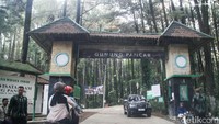 Namun eksotisme gua ini bisa saja pudar karena masih marak kasus pungli di Gunung Pancar.