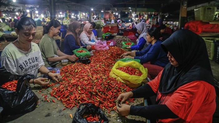 Sejumlah pedagang menyortir cabai rawit yang dijual di Pasar Barito, Ternate, Maluku Utara, Selasa (8/10/2024). Menurut pedagang, sejak dua bulan terakhir harga cabai rawit melonjak hingga Rp100 ribuper kilogram dari harga normalRp60 ribuper kg disebabkan kurangnya pasokandari Manado dan Gorontalo. ANTARA FOTO/Andri Saputra/aww.