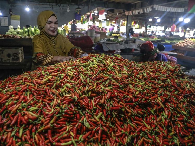 Pedas! Harga Cabai di Ternate Melonjak Tembus Rp 100 Ribu/Kg