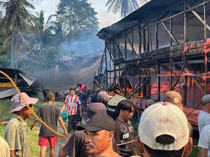 8.000 Ayam Mati gegara Kandang Terbakar di Kolaka, Pemilik Rugi Rp 1 Miliar