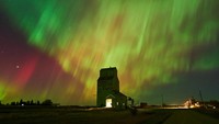 Cahaya Utara yang juga disebut Aurora Borealis, menerangi langit di Alberta, Kanada, Senin (7/10/2024).