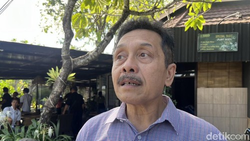 Ketua MKMK, Dewa Gede Palguna, beberapa waktu lalu. (Ida Bagus Putu Mahendra/detikBali)