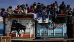 Melihat Festival Adu Banteng Terbesar di Bolivia