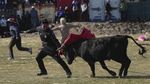 Melihat Festival Adu Banteng Terbesar di Bolivia
