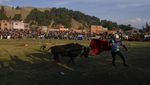 Melihat Festival Adu Banteng Terbesar di Bolivia